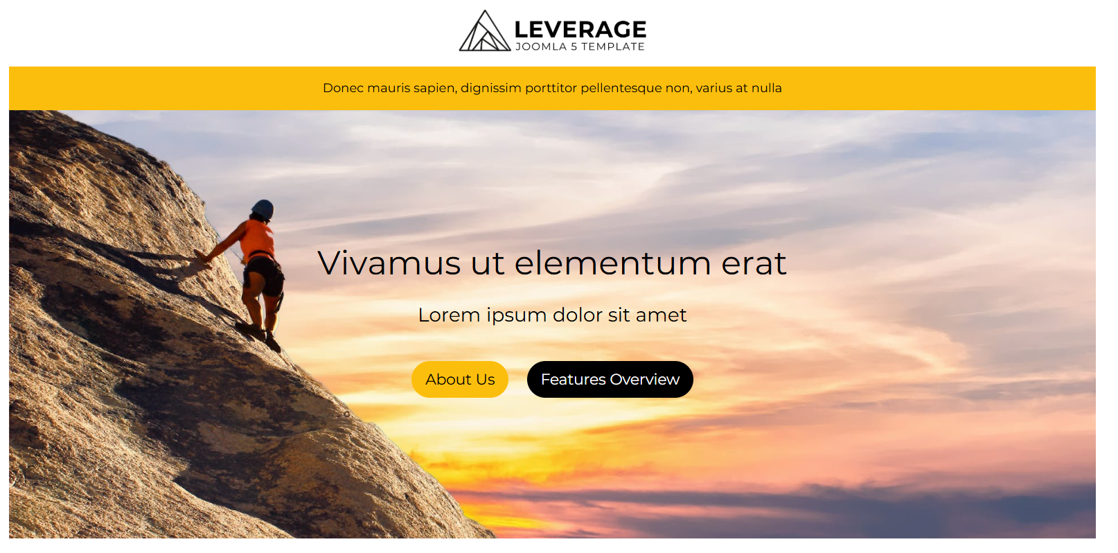 Leverage Theme Hero