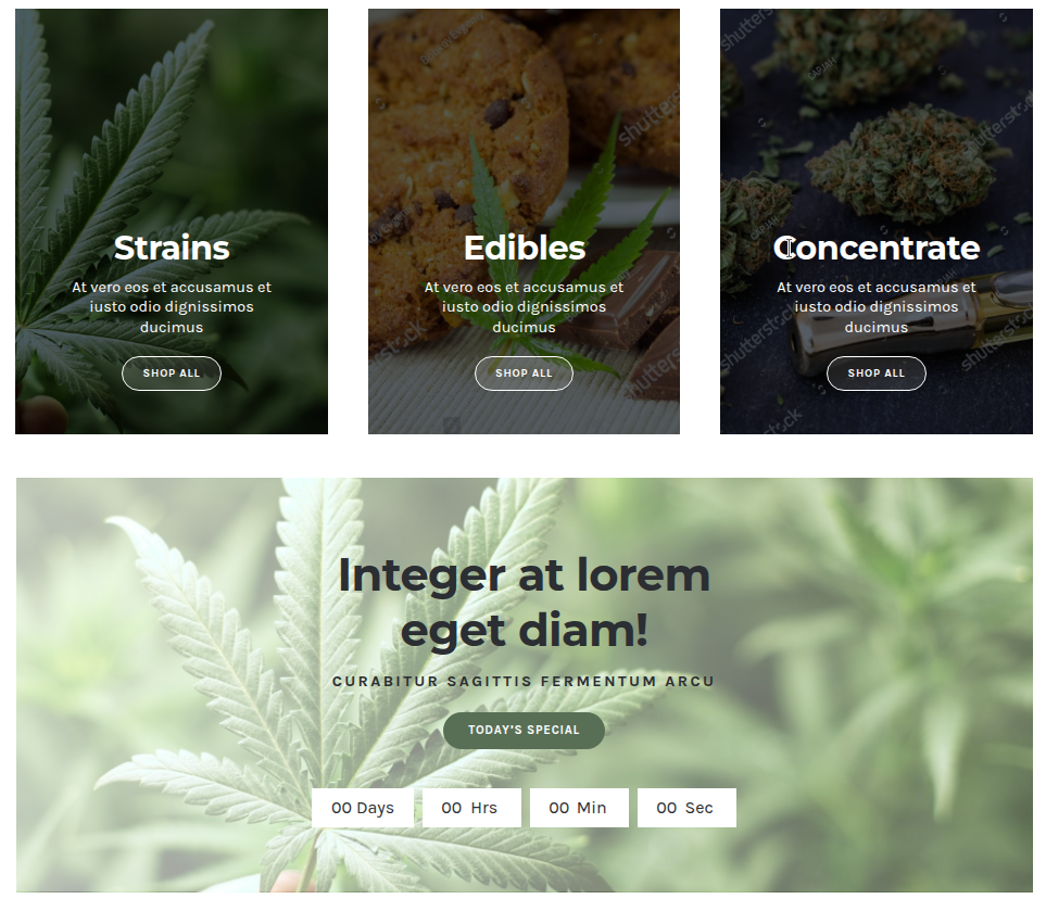 Cannabis Web Store Package